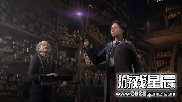 图片[4]-PC《霍格沃茨之遗 Hogwarts Legacy steam》中文版下载攻略汇总【v1121649.10567173全DLC】-资源天地-资源学习天地